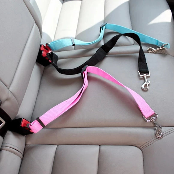 Car Seat Buckle Leash