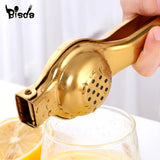 Stainless Steel Fruit Juicer