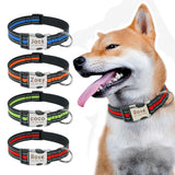 Nylon Dog Collar w/Engraved ID Tag