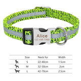 Nylon Dog Collar w/Engraved ID Tag