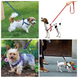 Adjustable Dog Harness w/ Leash