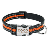 Nylon Dog Collar w/Engraved ID Tag