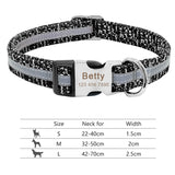 Nylon Dog Collar w/Engraved ID Tag