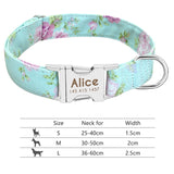 Nylon Dog Collar w/Engraved ID Tag