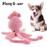 Plush Squeak Toys