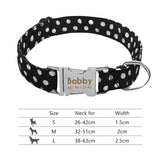 Nylon Dog Collar w/Engraved ID Tag