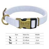 Nylon Dog Collar w/Engraved ID Tag