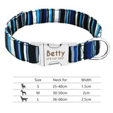 Nylon Dog Collar w/Engraved ID Tag