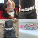 Custom Bling Dog Collar