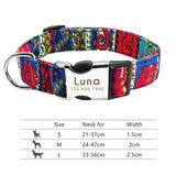 Nylon Dog Collar w/Engraved ID Tag