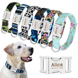 Nylon Dog Collar w/Engraved ID Tag