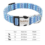 Nylon Dog Collar w/Engraved ID Tag