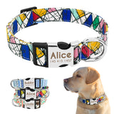 Nylon Dog Collar w/Engraved ID Tag