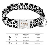 Nylon Dog Collar w/Engraved ID Tag