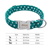 Nylon Dog Collar w/Engraved ID Tag