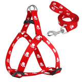 Adjustable Dog Harness w/ Leash