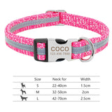 Nylon Dog Collar w/Engraved ID Tag