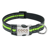 Nylon Dog Collar w/Engraved ID Tag