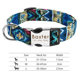 Nylon Dog Collar w/Engraved ID Tag