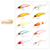 Saltwater Fishing Lure