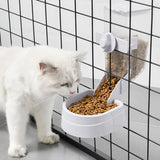 Automatic Pet Feeder