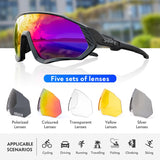 Polarized Cycling Glasses