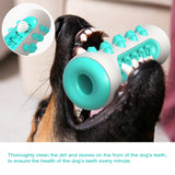 Interactive Clean Teeth Chew