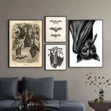 Vintage Bat Canvas Artwork