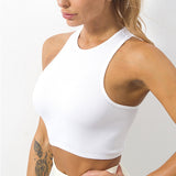 Seamless Crop Tops