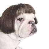 Pet Wigs