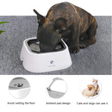 Water Dispenser Dog Bowl