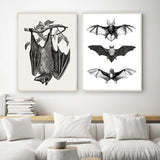 Vintage Bat Canvas Artwork