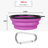 Large Silicone Feeder Dish