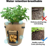 Vegetable Growing Bags