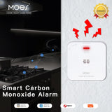 Carbon Monoxide Detector