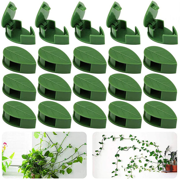 Climbing Plant Wall Fixture Clips