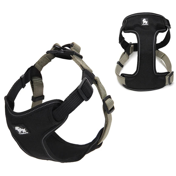 Reflective Step in Harness