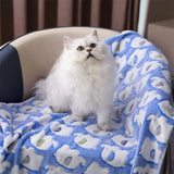 Soft Fluffy Pet Blanket