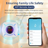 Smart Home Carbon Monoxide Detector