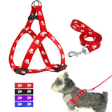 Adjustable Dog Harness w/ Leash