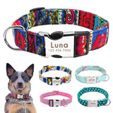 Nylon Dog Collar w/Engraved ID Tag